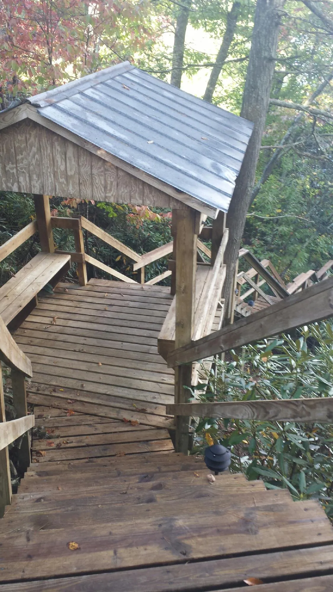 Metal roofed shelter over wooden steps on a wooded walkway — Skylight Repair & Installation work by our crew in Ridgely