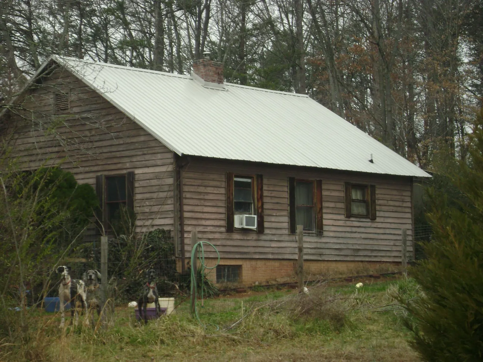 White metal roof on an old wood sided farmhouse, from a Metal Roof Installation job in Ridgely